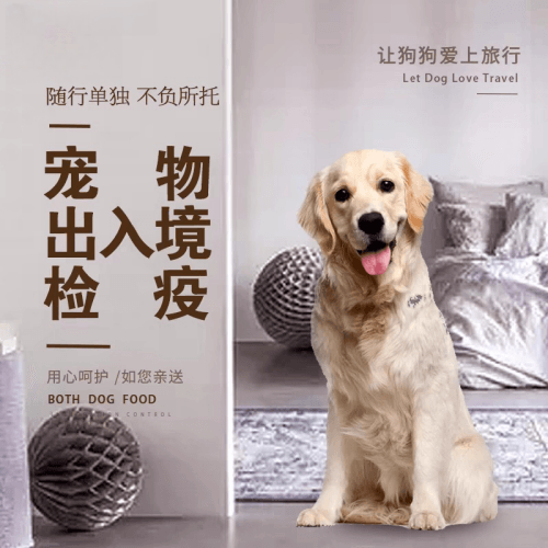 合肥宠物托运到哥伦比亚猫狗宠物入境规定和