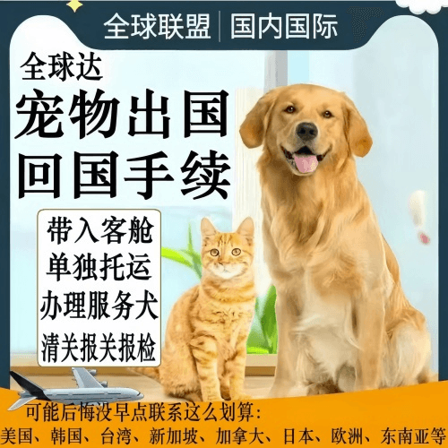 合肥宠物托运到柬埔寨宠物入境规定和要求