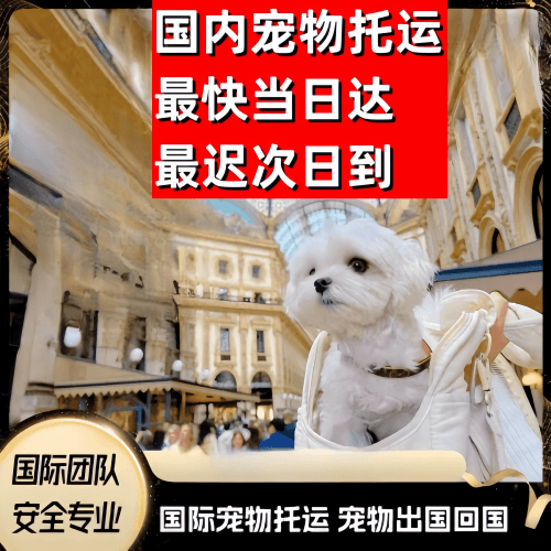 合肥到澳大利亚（澳洲）宠物入境规定和要求