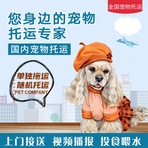 满财合肥宠物全球达宠物托运作为专业的宠物运输代理机构